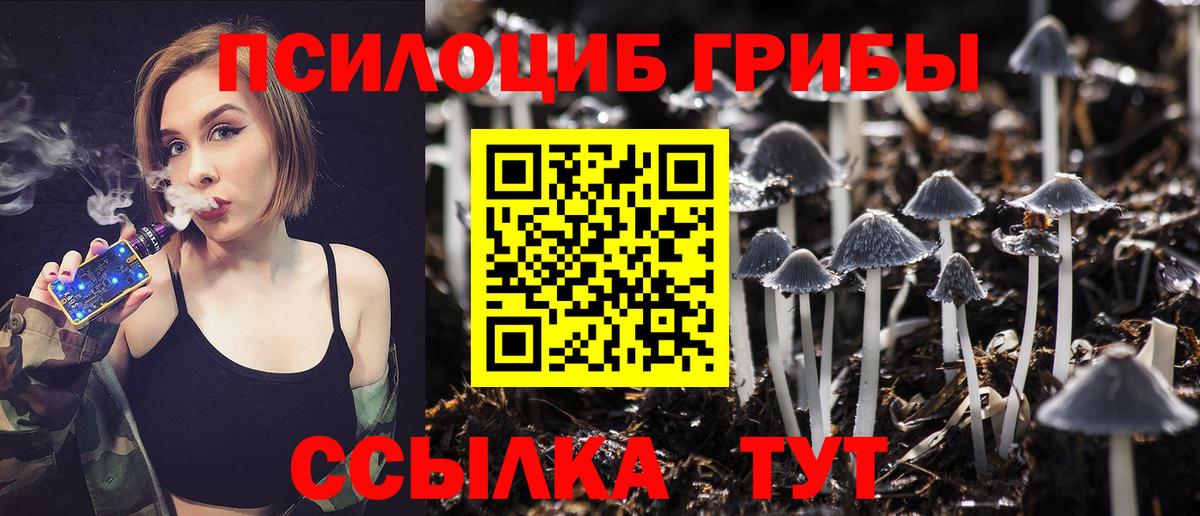 Псилоцибиновые грибы GOLDEN TEACHER Чебаркуль